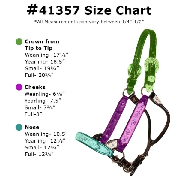 Billy Royal® Dark Side Silver Fitted Show Halter