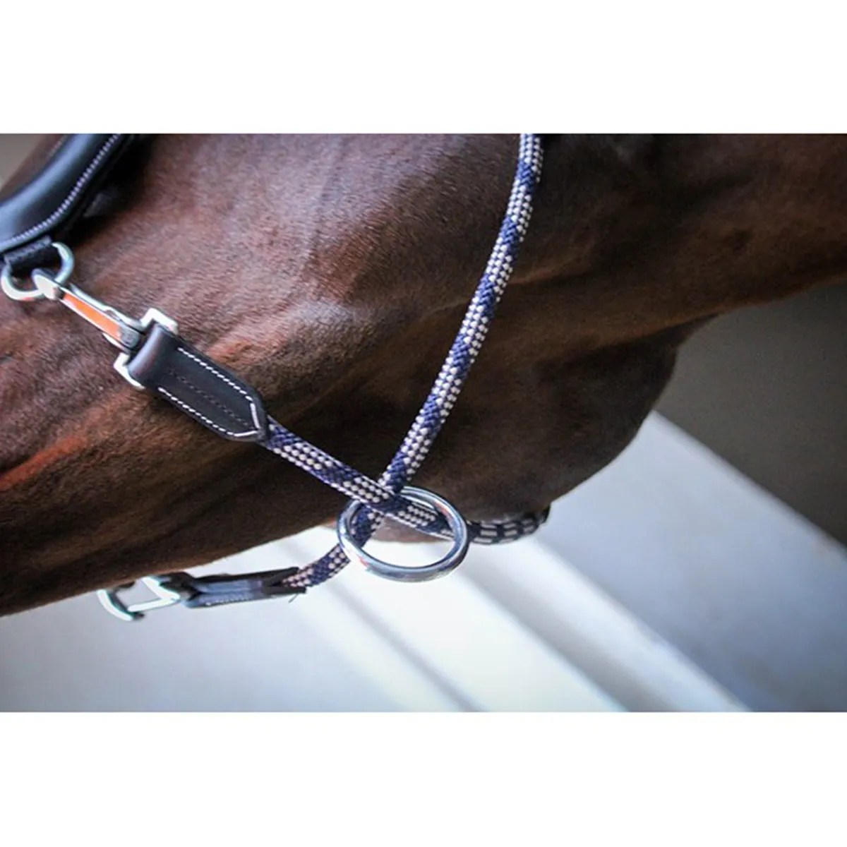 Jump'in Travel Halter - One Collection