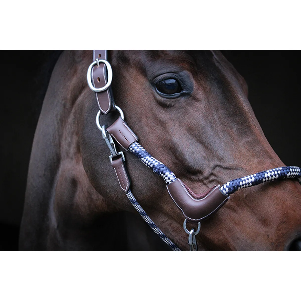 Jump'in Travel Halter - One Collection