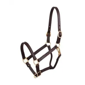 Perri's Leather Halter 3/4" - Havana & Brass