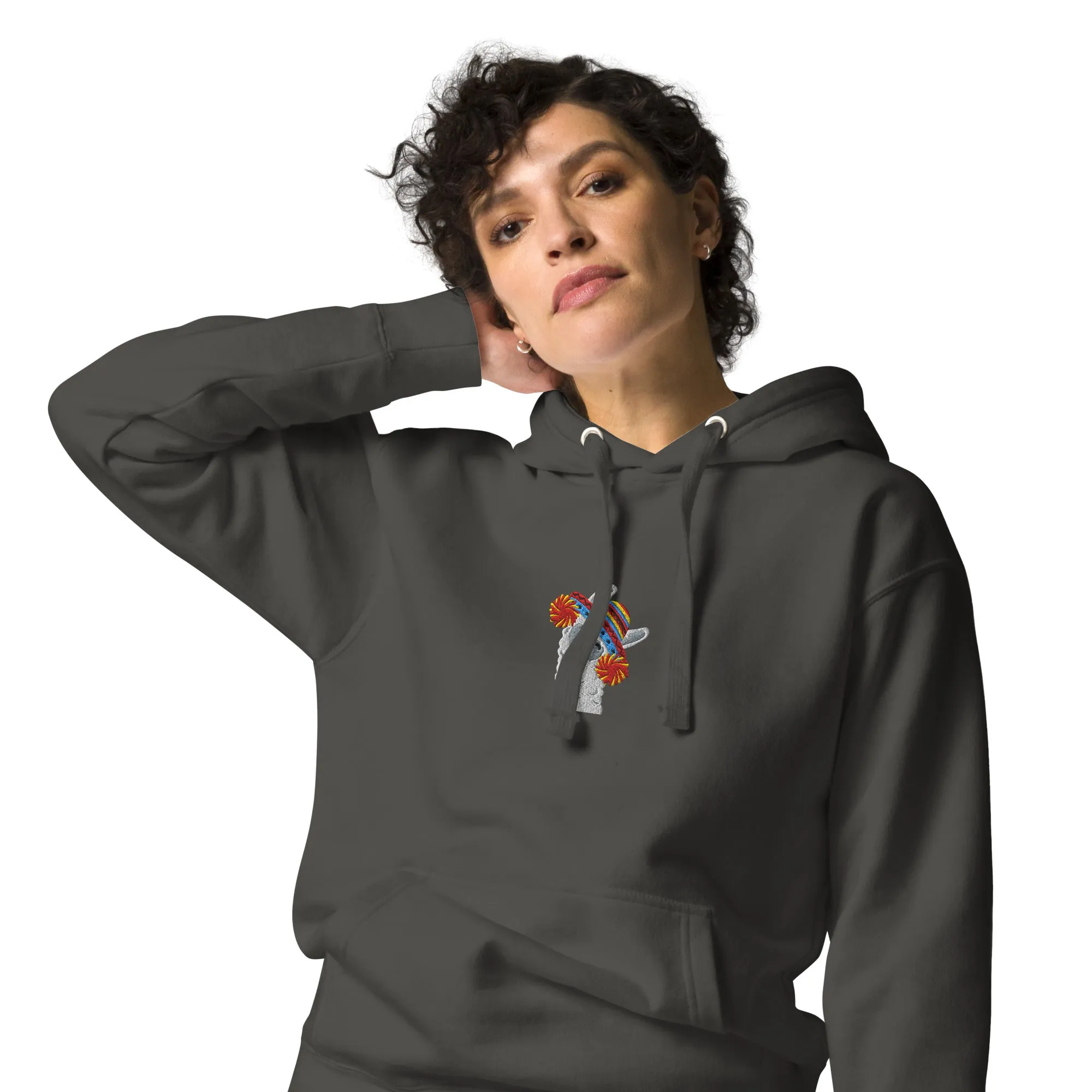 Peruvian Alpaca Embroidered Hoodie