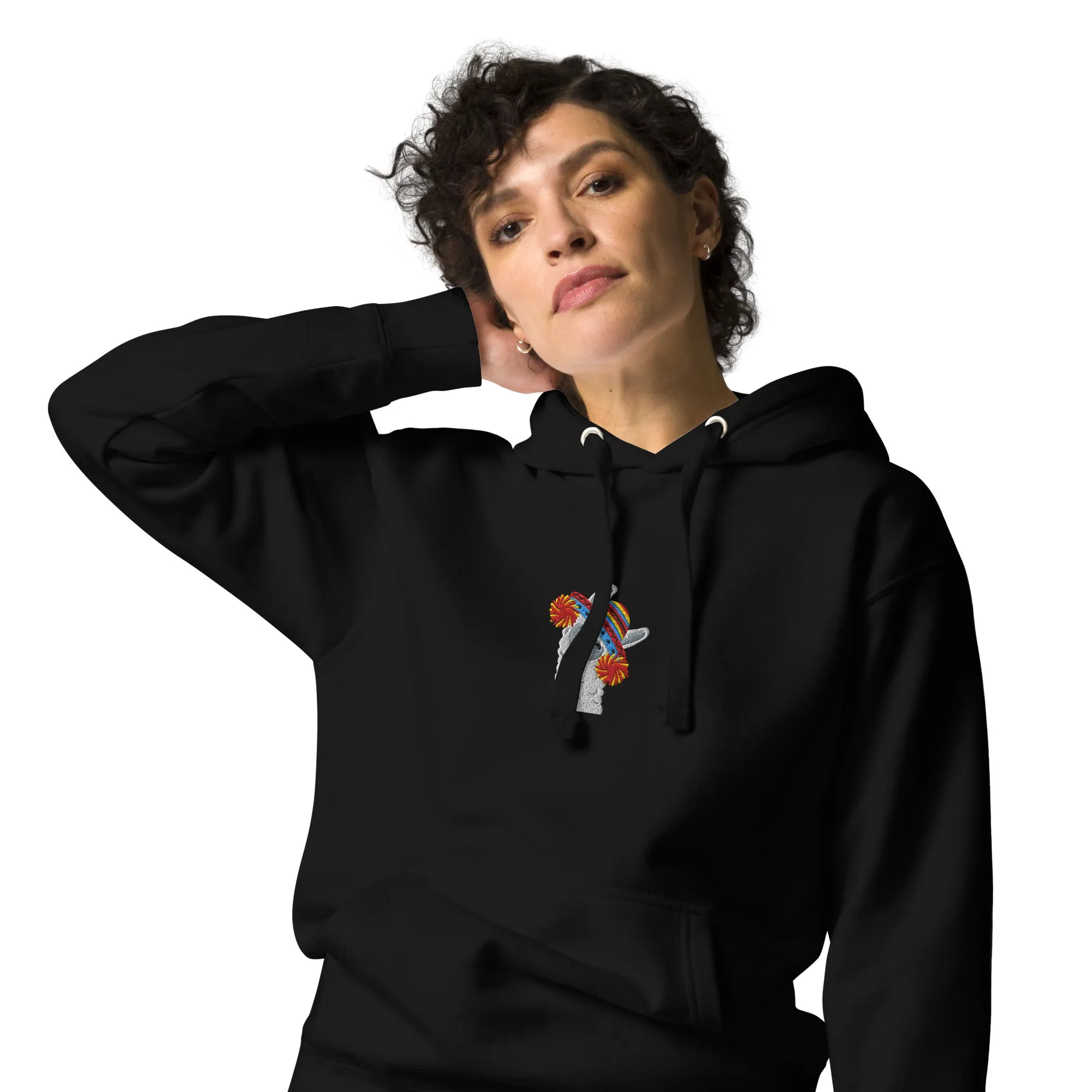 Peruvian Alpaca Embroidered Hoodie