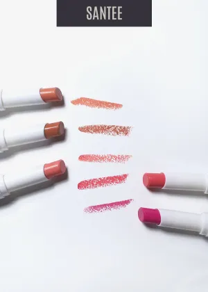 Santee Matte Lipstick