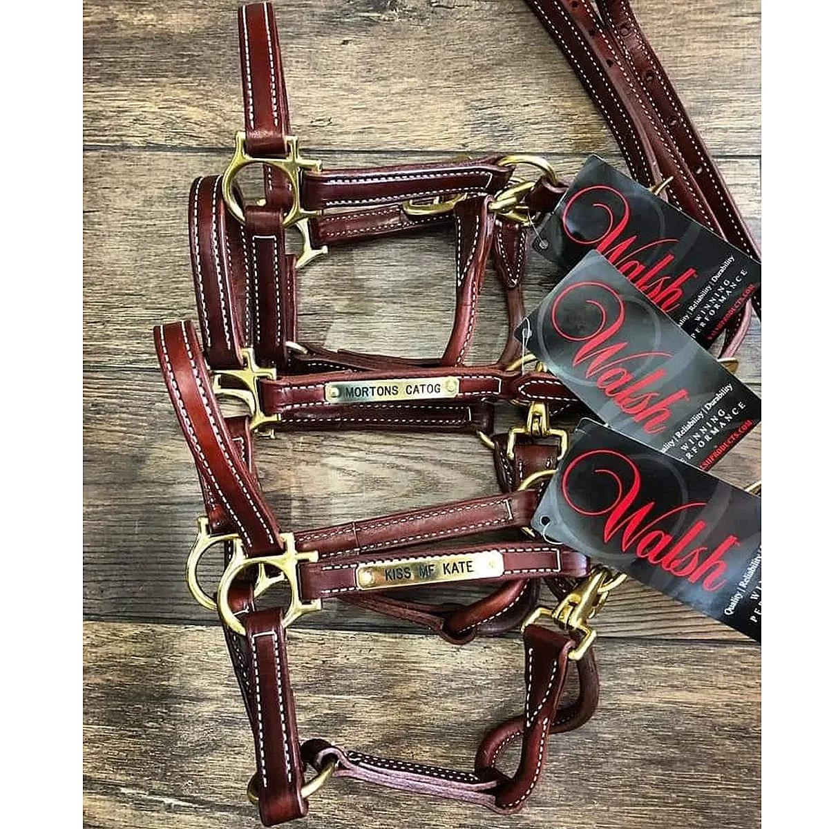 Walsh Showman Halter